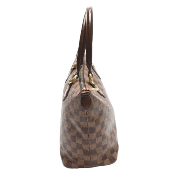 Louis Vuitton Damier Saleya PM Handbag