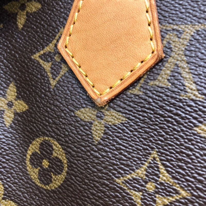 Louis Vuitton Monogram Canvas Speedy Boston Bag