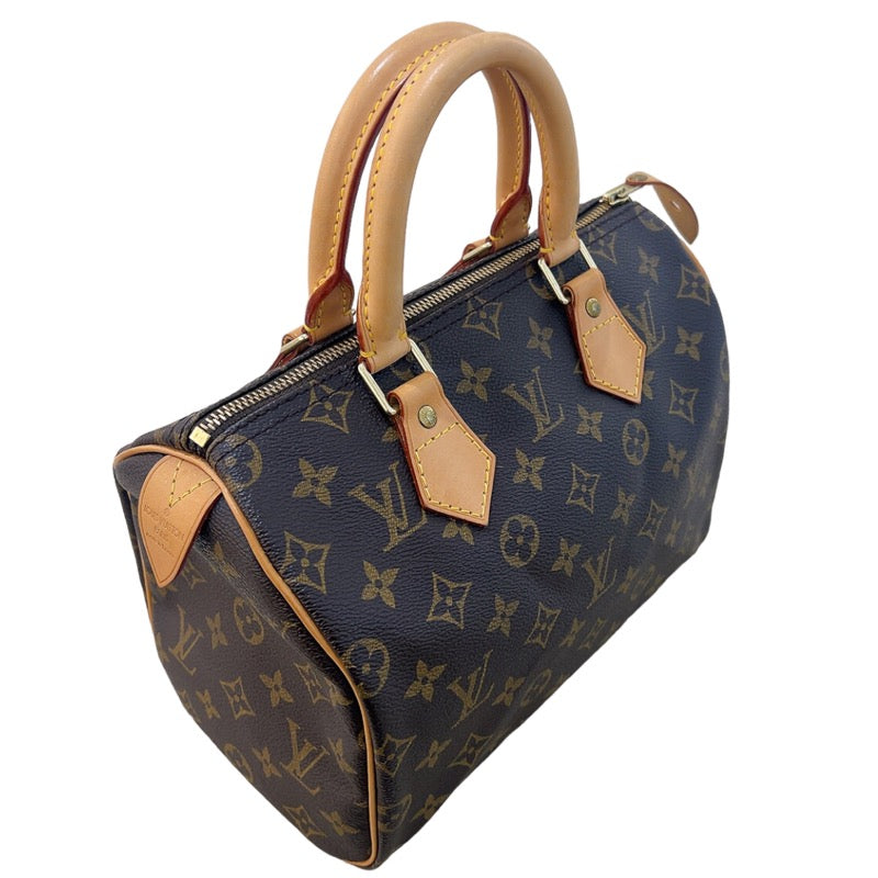 Louis Vuitton Speedy Monogram Handbag