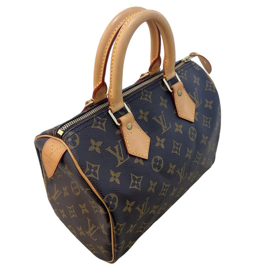 Louis Vuitton Speedy Monogram Handbag