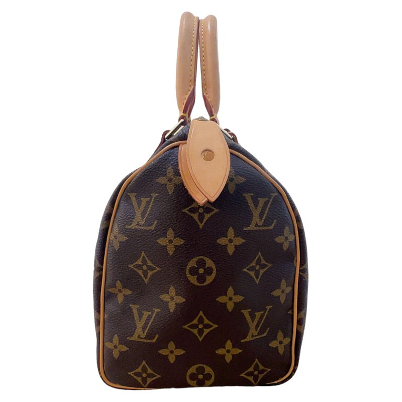 Louis Vuitton Speedy Monogram Handbag