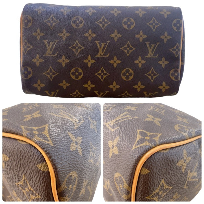 Louis Vuitton Speedy Monogram Handbag