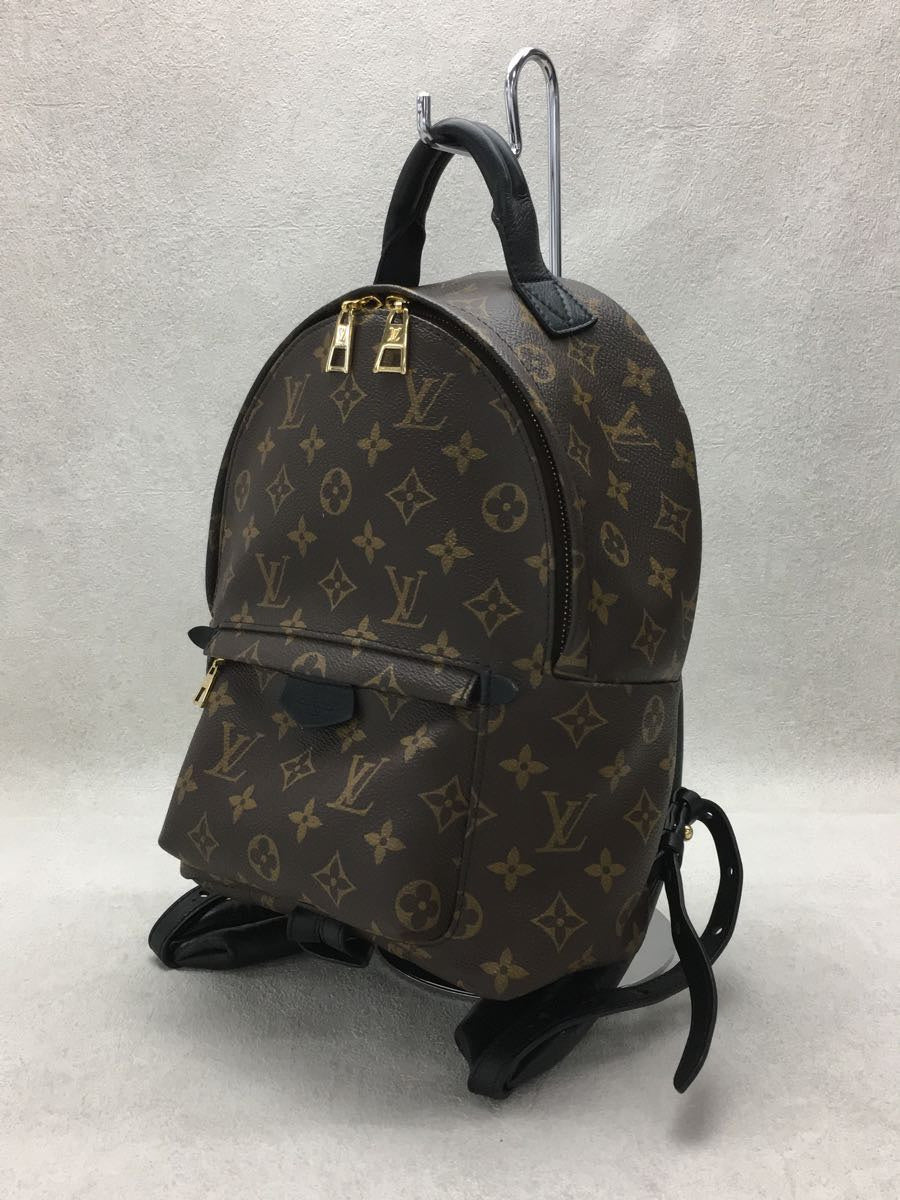 Louis Vuitton Palm Springs Backpack PM Monogram Brown
