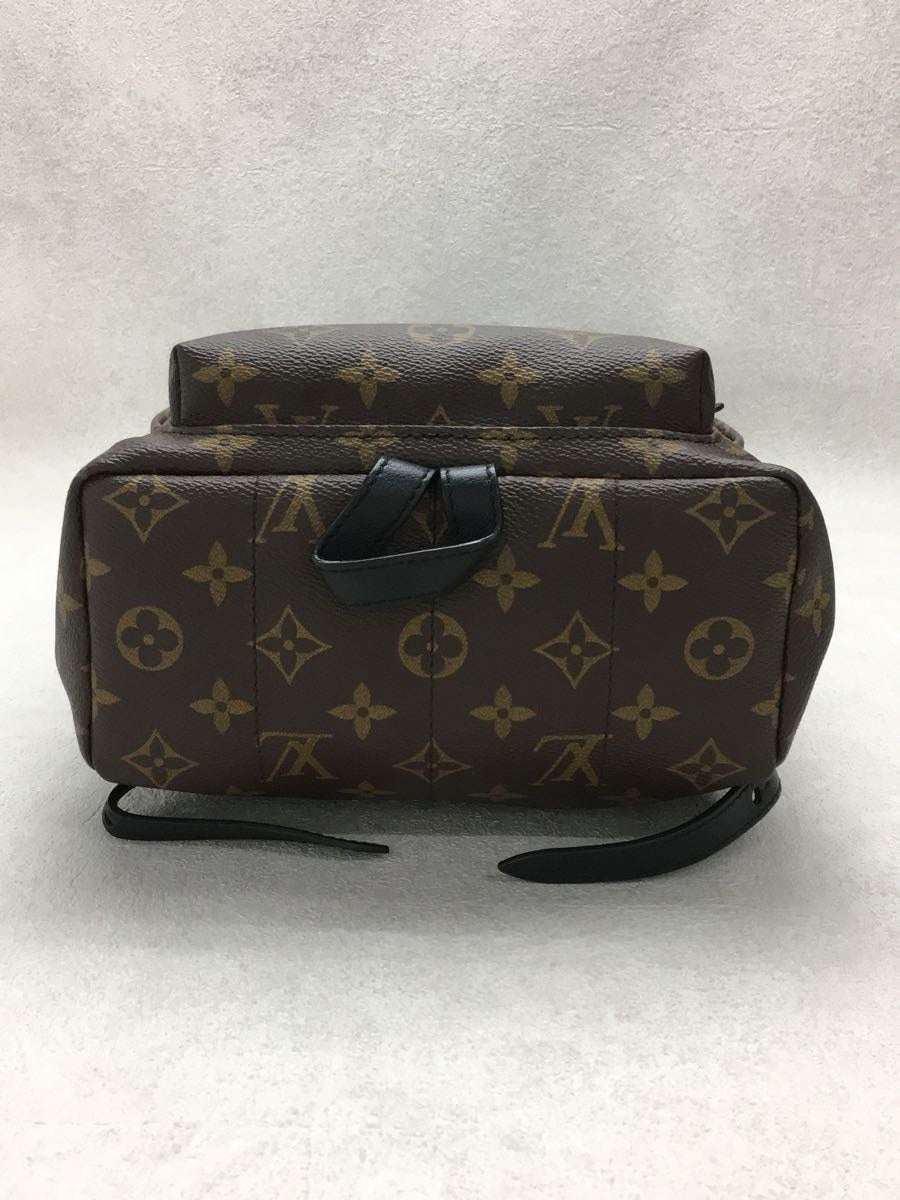 Louis Vuitton Palm Springs Backpack PM Monogram Brown