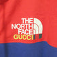 Gucci The North Face Zip Up Hoodie Jacket