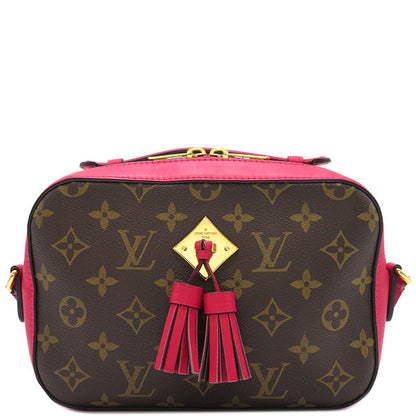 Louis Vuitton Shoulder Bag Santonge Freesia Pochette