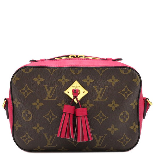 Louis Vuitton Shoulder Bag Santonge Freesia Pochette