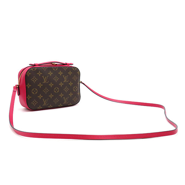 Louis Vuitton Shoulder Bag Santonge Freesia Pochette