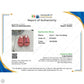 Slippers Luxury Designer By Gucci In Pink, Size: 6