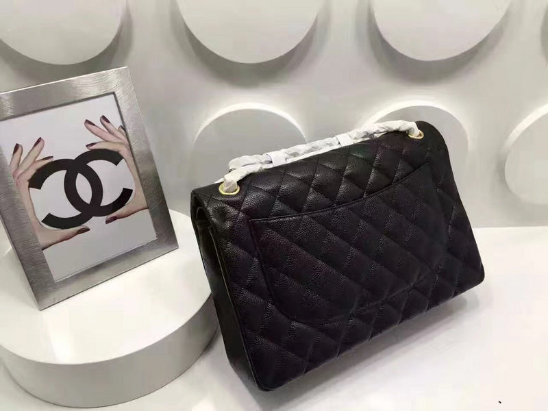 Amelia - CHL Lady Bags - 598