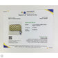 Wallet Luxury Designer By Louis Vuitton, Size: Medium