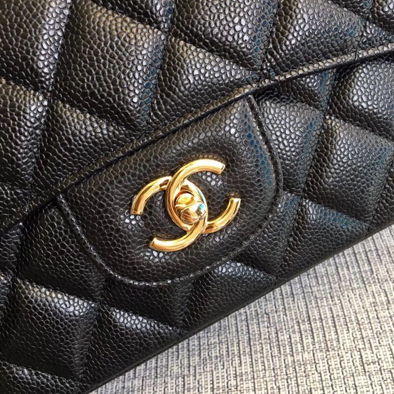 Amelia - CHL Lady Bags - 603