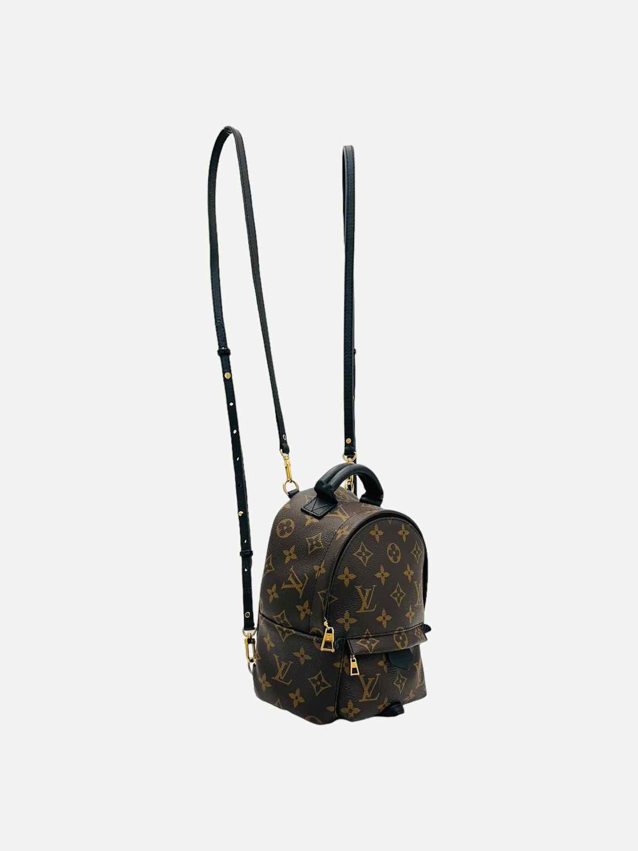 LOUIS VUITTON Palm Springs Brown Monogram Backpack