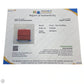 Wallet Luxury Designer By Gucci, Size: Small