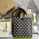 Amelia- GCI Bags - 5523