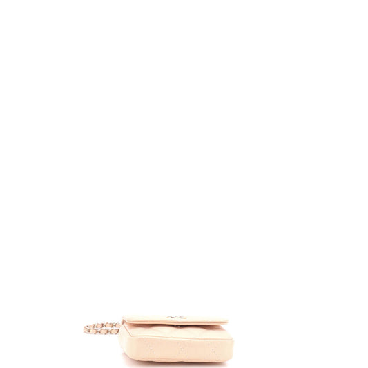 CC Pearl Coin Card Holder with Chain Quilted Iridescent Caviar