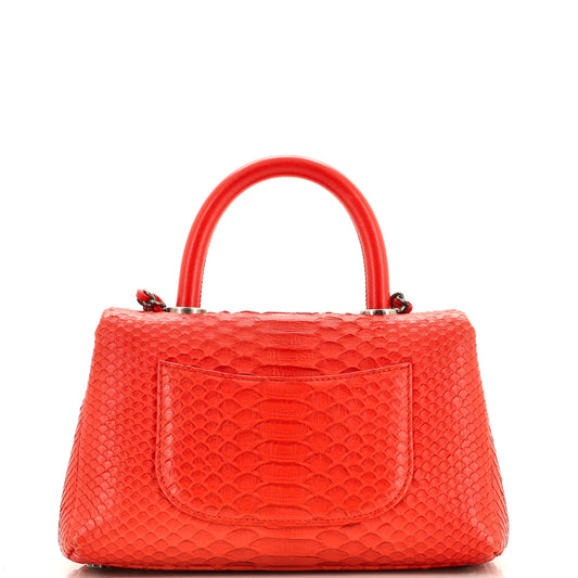 Coco Top Handle Bag Python Mini
