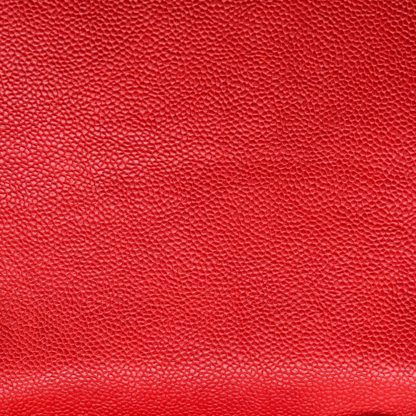 Data Center Back Pocket Flap Bag Caviar Medium