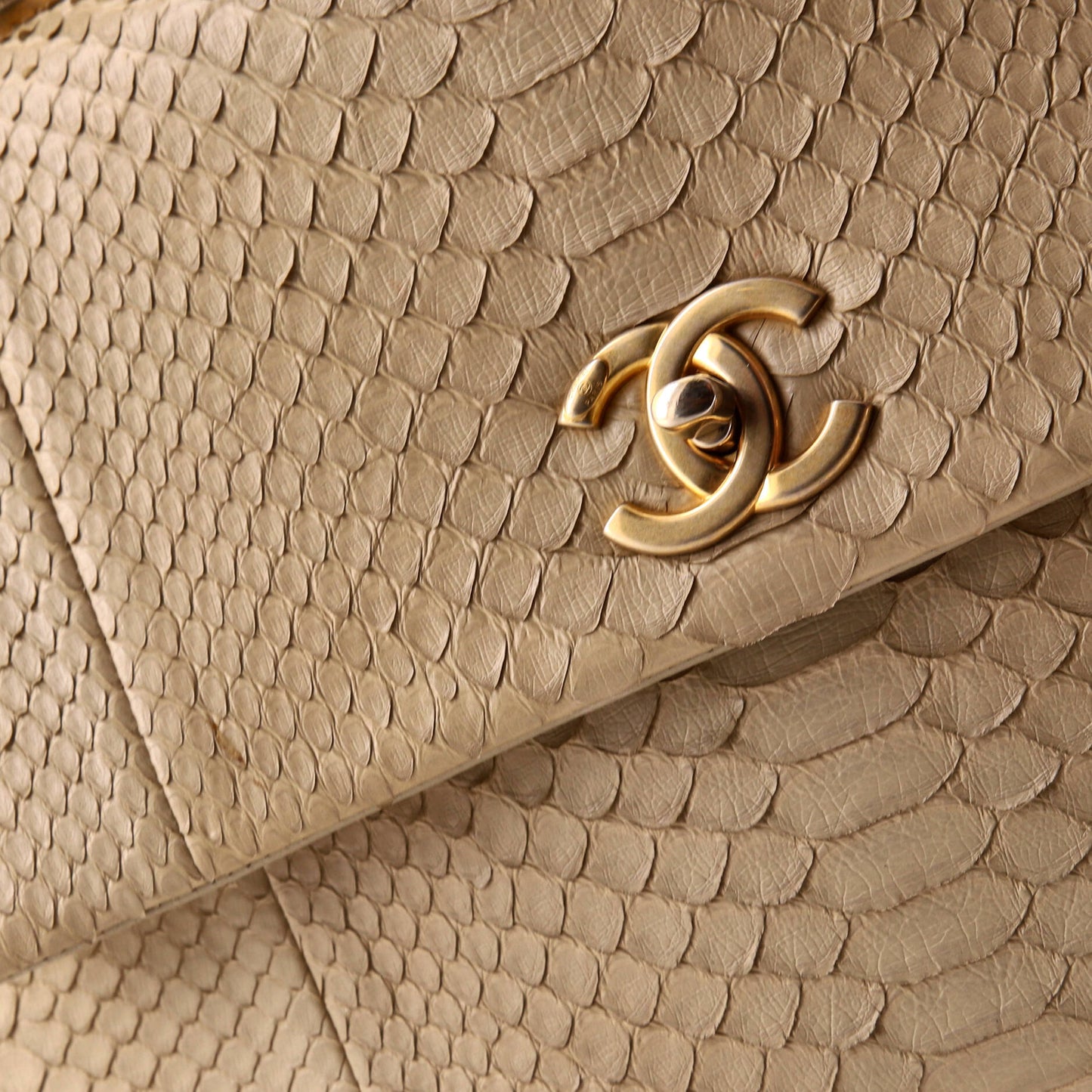 Coco Top Handle Bag Python Medium