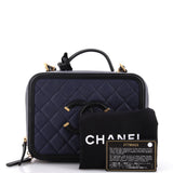 Filigree Vanity Case Quilted Iridescent Caviar Medium