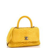 Coco Top Handle Bag Python Mini