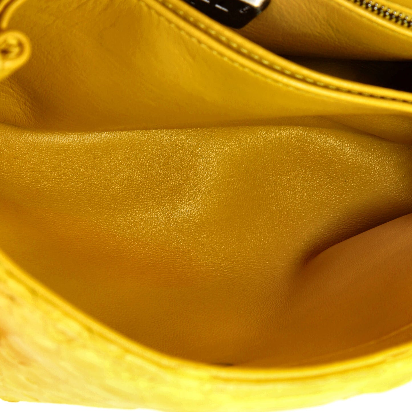Coco Top Handle Bag Python Mini