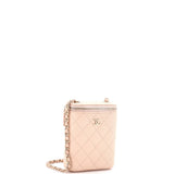 Vertical Classic Vanity Case with Chain Quilted Caviar Small