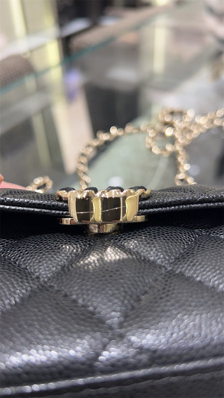 Amelia- CHL Bags - 097