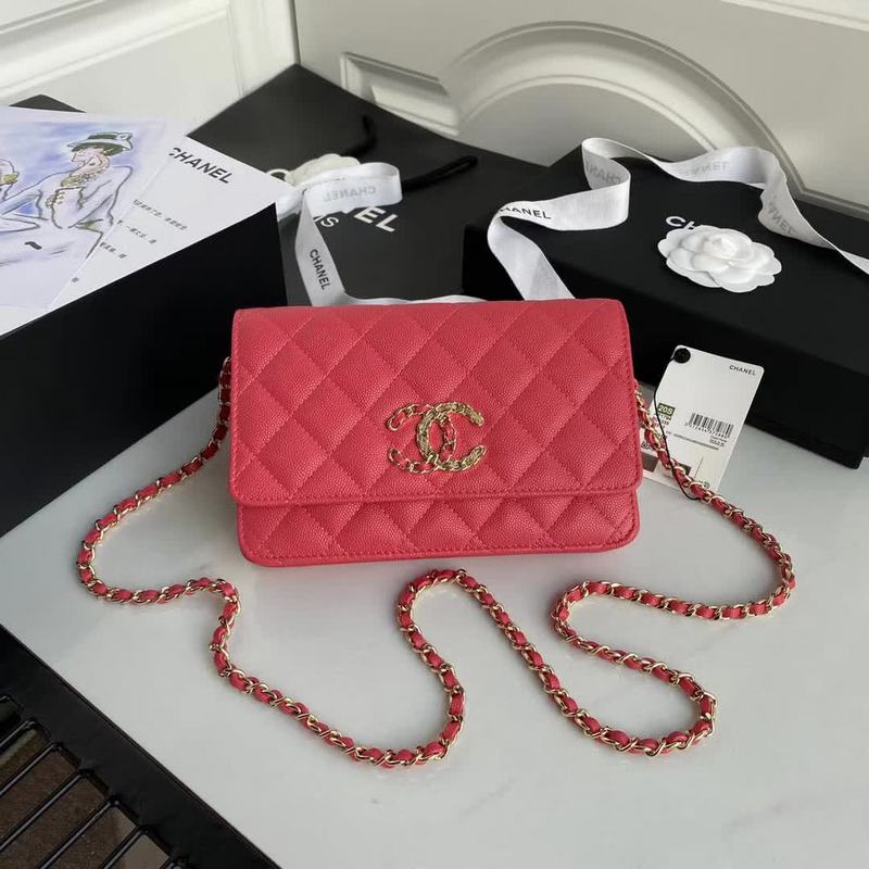 Amelia- CHL Bags - 6493