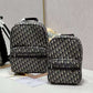 Amelia - DYOR   BAGS FOR WOMEN - FASHION LUXURY BAGS 012