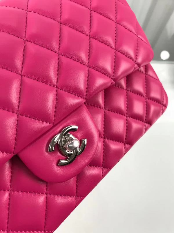 Amelia- CHL Bags - 6672