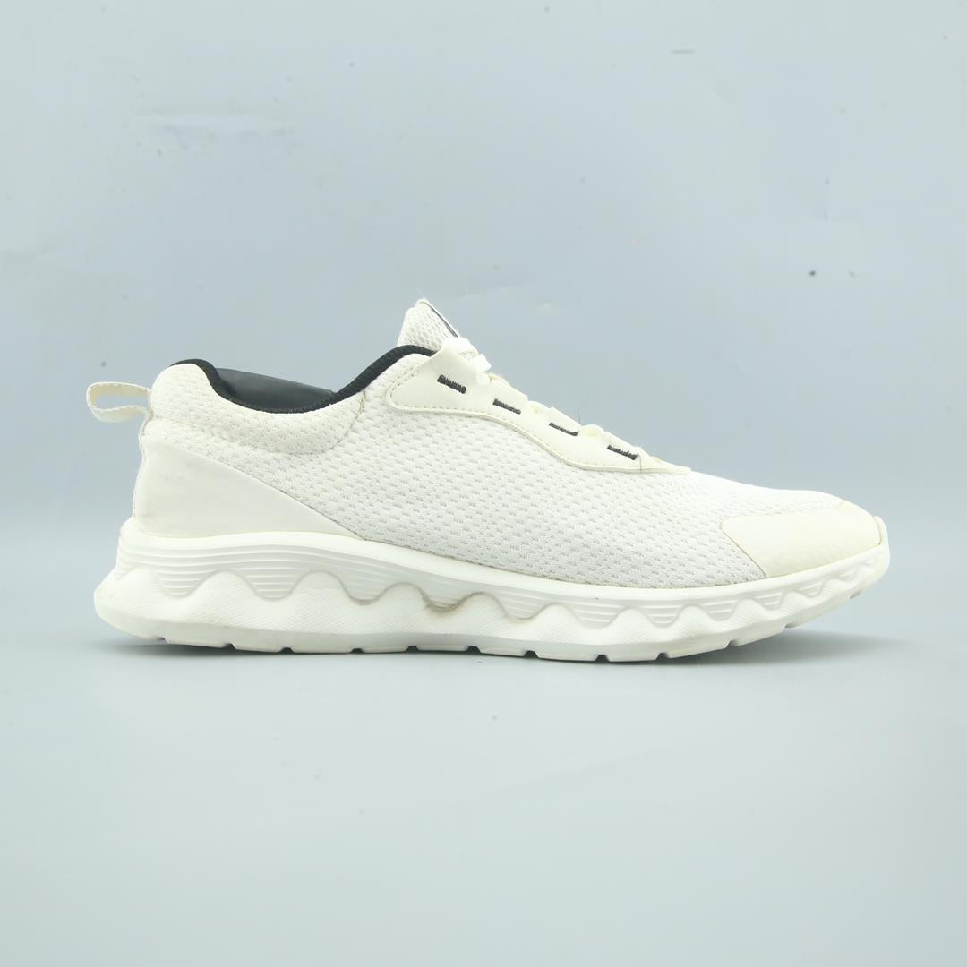 ANTA .