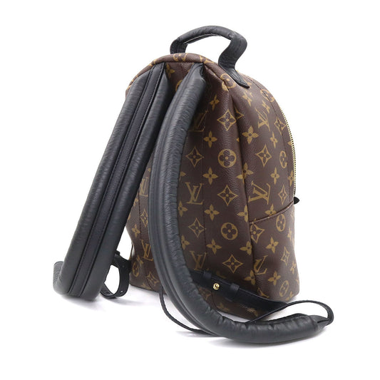 Louis Vuitton Monogram Palm Springs Backpack PM Backpack Brown