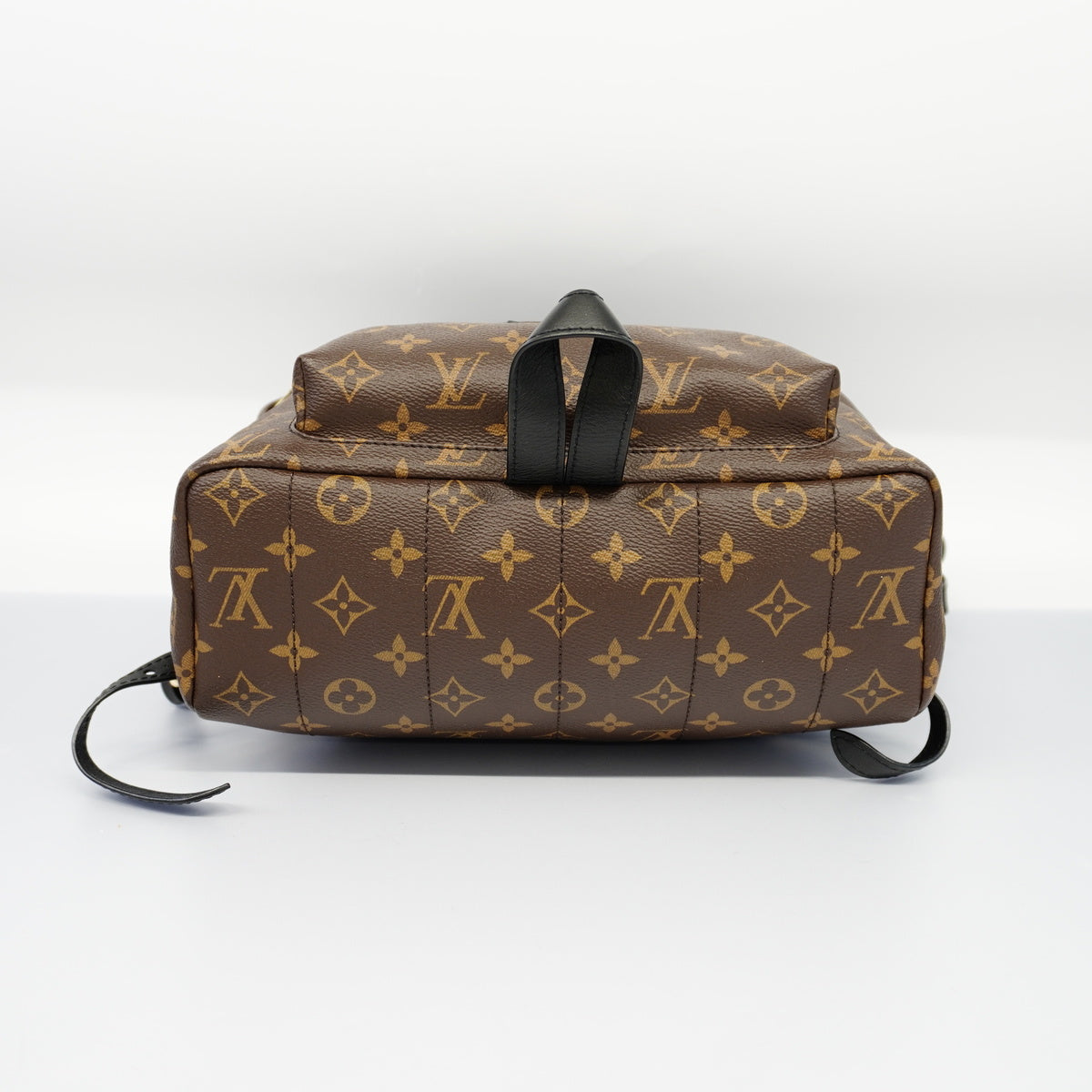 Louis Vuitton Rucksack Monogram Palm Spring MM Backpack