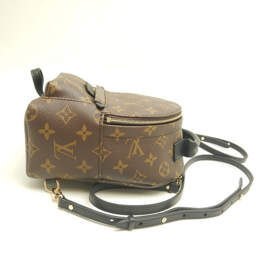 Louis Vuitton Monogram Palm Springs Backpack MINI Brown