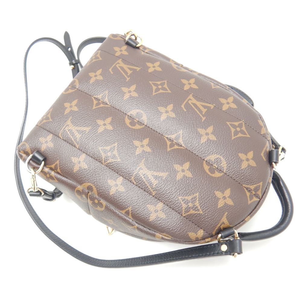 Louis Vuitton Monogram Palm Springs Backpack Mini Rucksack Brown