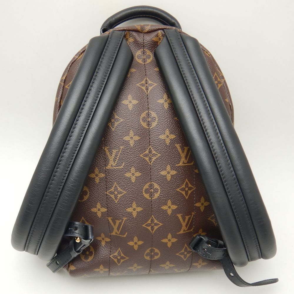 Louis Vuitton Palm Springs PM Backpack Monogram Reverse Brown
