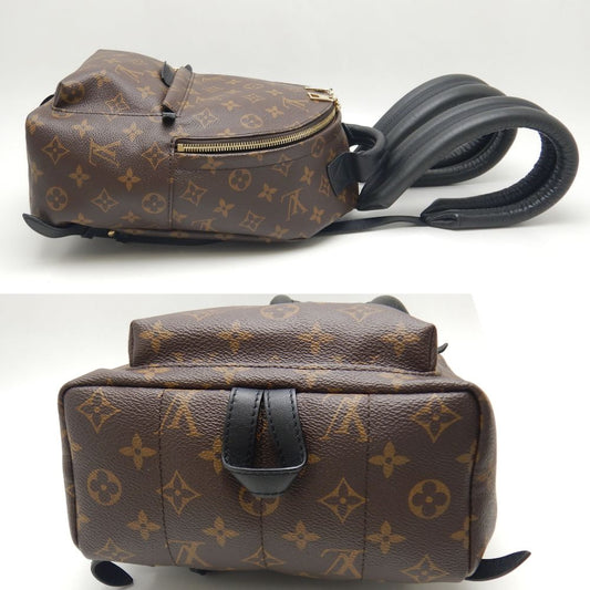 Louis Vuitton Monogram Palm Springs PM Backpack Brown