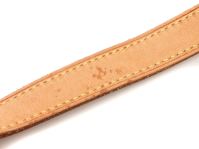 Louis Vuitton Ellipse Shopping Monogram