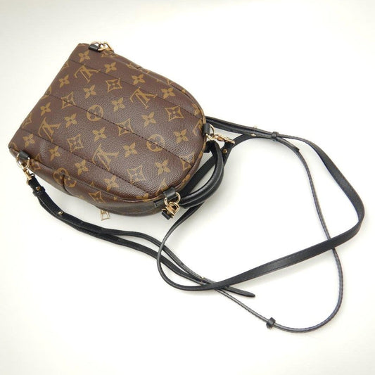 Louis Vuitton Monogram Palm Springs Backpack Mini Brown Rucksack