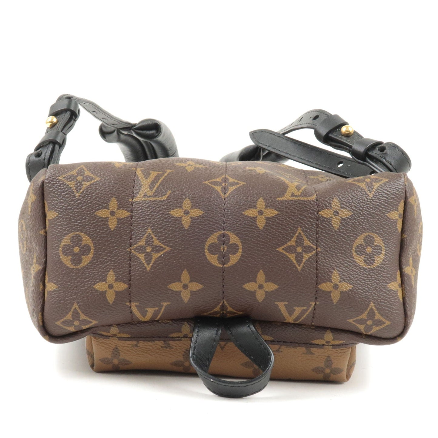 Louis Vuitton Monogram Palm Springs Backpack PM Rucksack