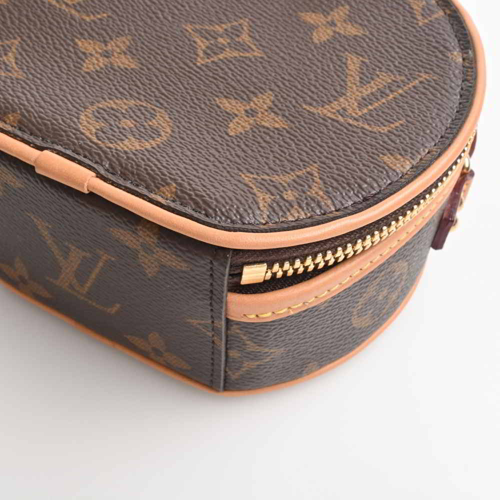Louis Vuitton Monogram Mini Boite Chapeau Shoulder Bag Brown