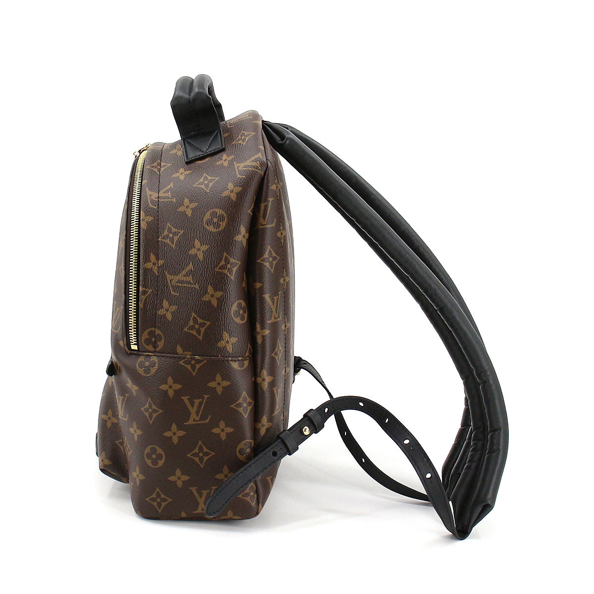 Louis Vuitton Monogram Palm Springs Backpack MM Brown