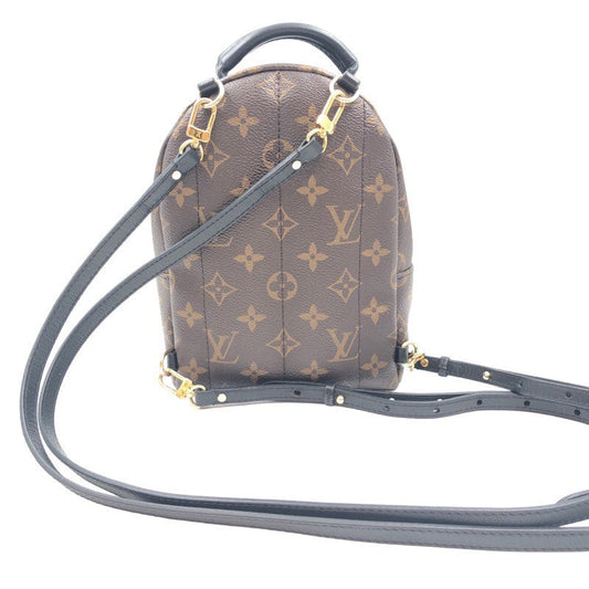 Louis Vuitton Palm Springs Mini Backpack Daypack