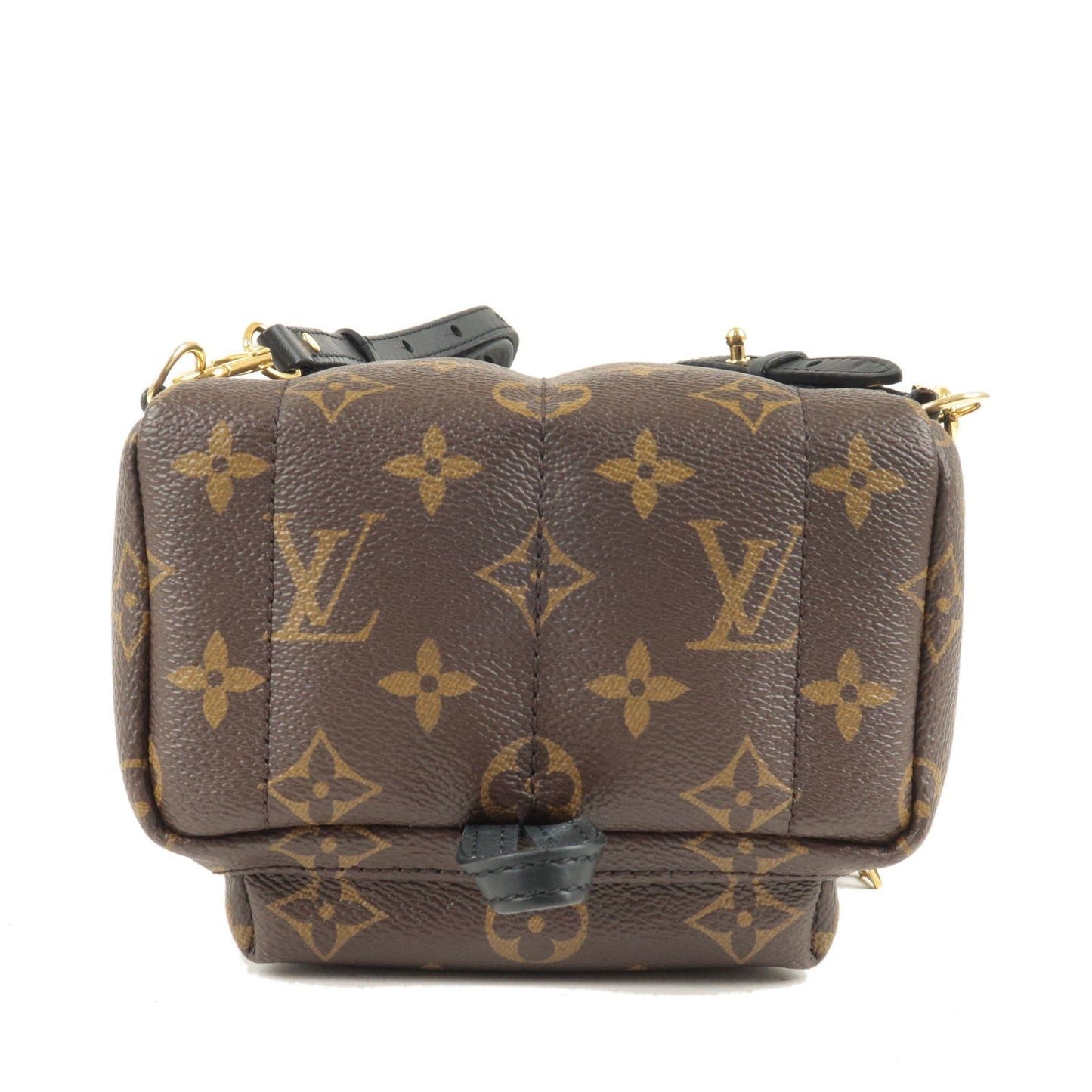Louis Vuitton Monogram Palm Springs Backpack Mini Rucksack