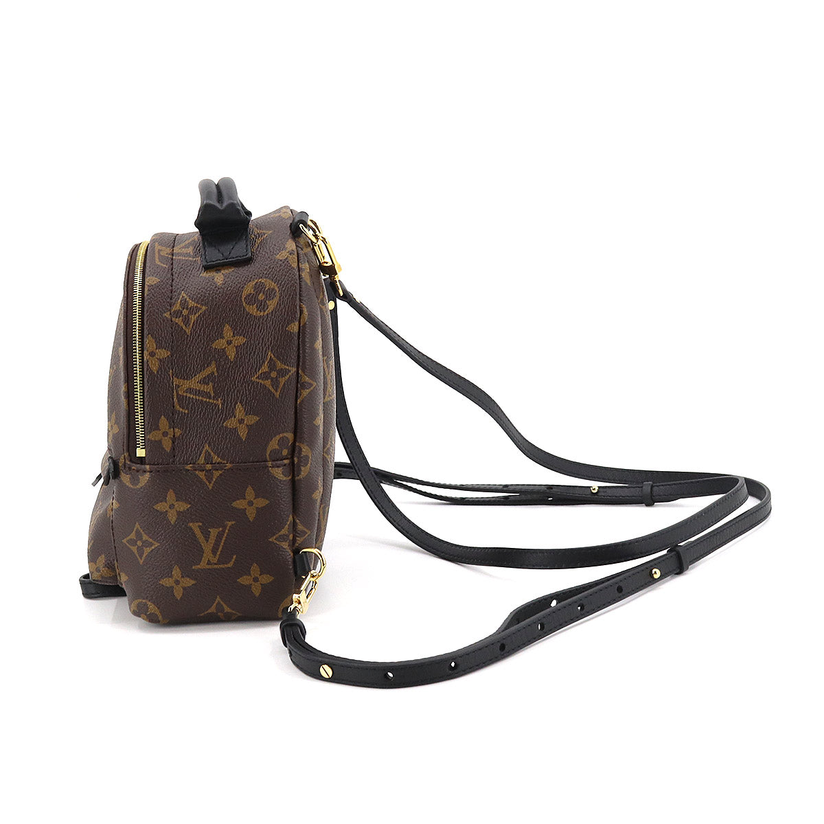 Louis Vuitton Monogram Palm Springs Backpack Mini Rucksack