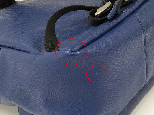 Louis Vuitton Discovery Backpack Tigarama Cobalt