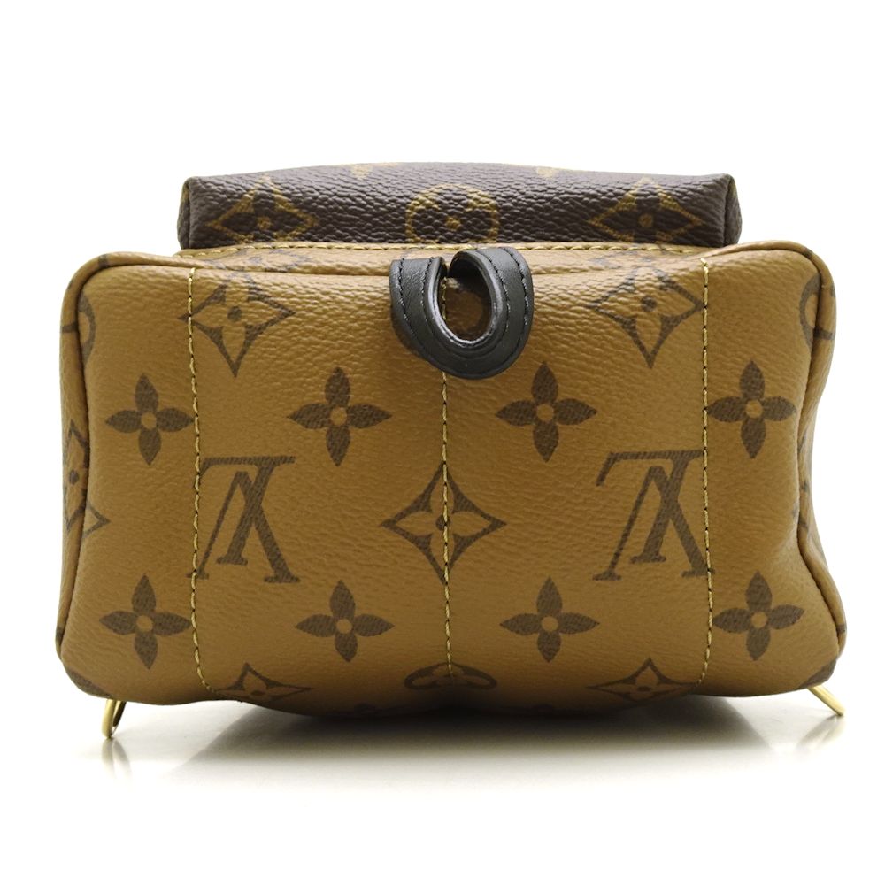 Louis Vuitton Monogram Reverse Palm Springs Backpack
