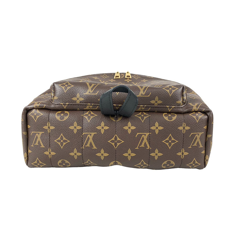 Louis Vuitton Palm Springs Backpack PM Monogram