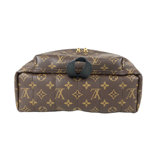 Louis Vuitton Palm Springs Backpack PM Monogram